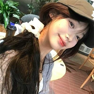 我的朋友是萌鲨