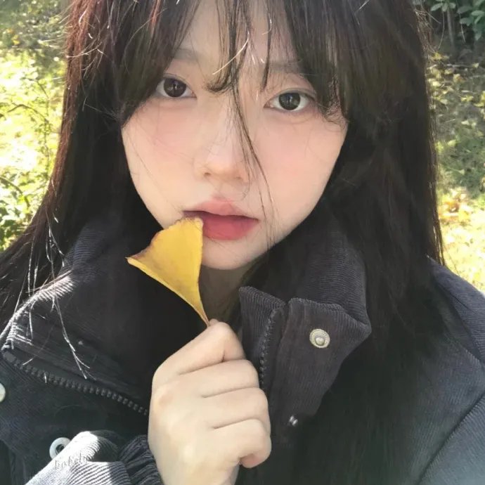 蕾丝炸弹